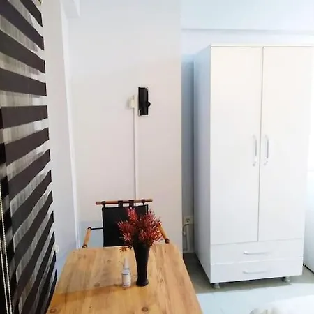 Cozy Big With Basement Garden R1 이스탄불